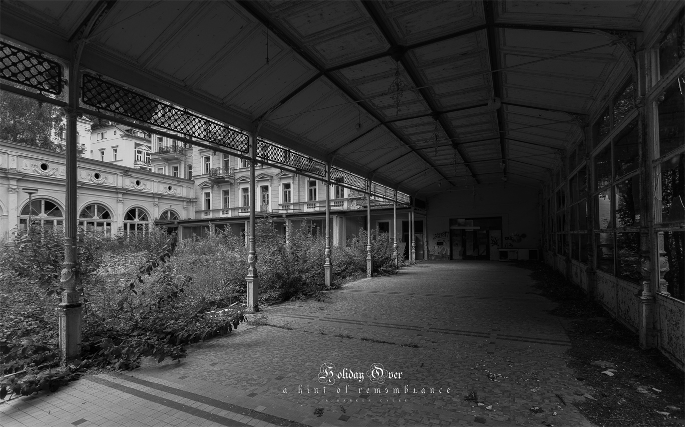 _MG_8496-1