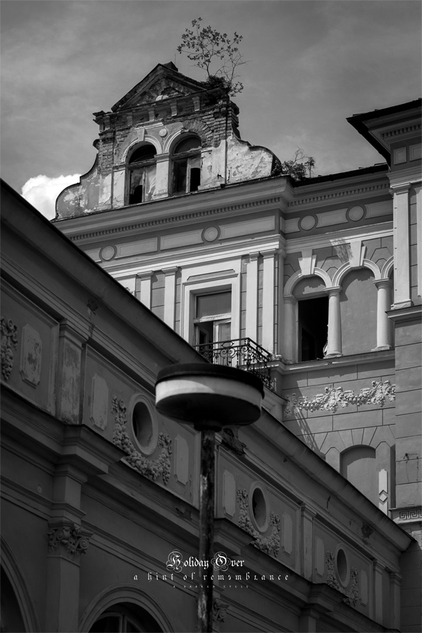 _MG_8515-1