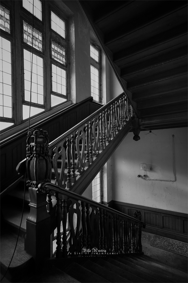 IMG_4162
